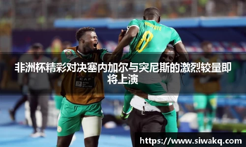 非洲杯精彩对决塞内加尔与突尼斯的激烈较量即将上演